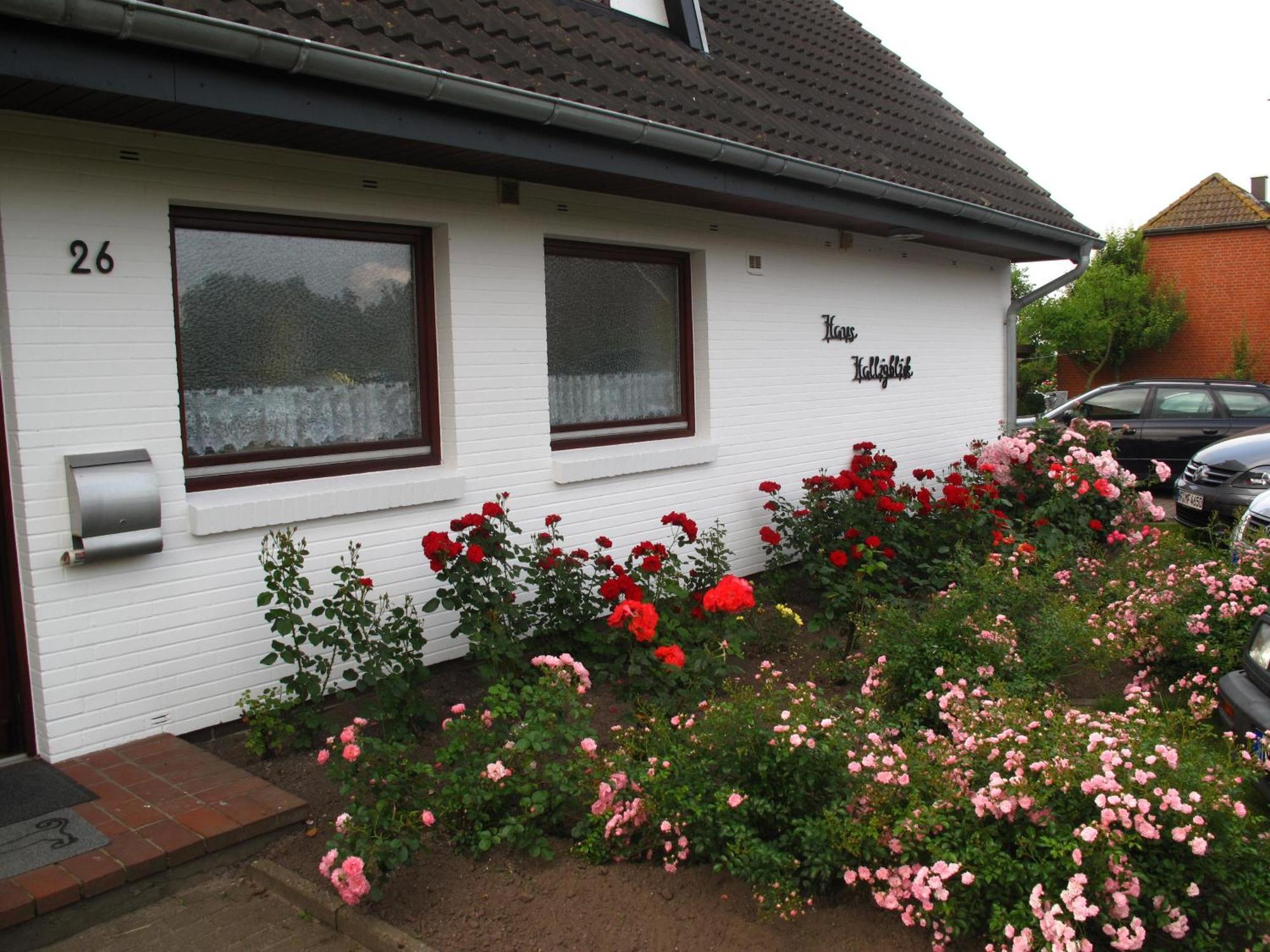 Haus Halligblick, Ferienwohnungen Am Wattenmeer, Whg Hamburger Hallig Dagebüll Esterno foto