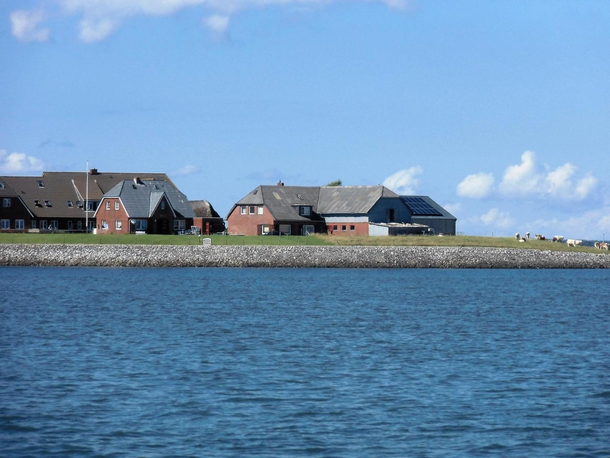 Haus Halligblick, Ferienwohnungen Am Wattenmeer, Whg Hamburger Hallig Dagebüll Esterno foto